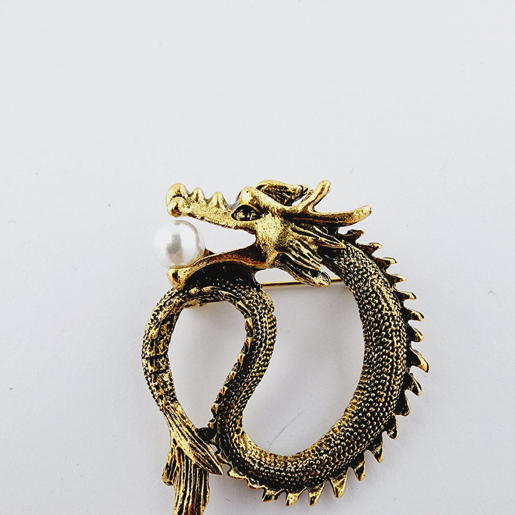 THE DRAGON OF HIDDEN TREASURES