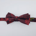 BOWTIE - BTSP11002
