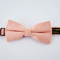 BOWTIE - BTCN11001