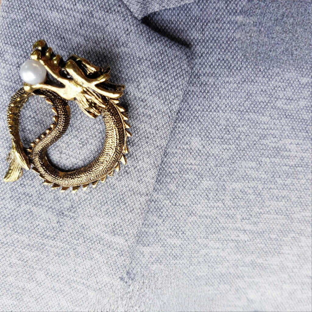 THE DRAGON OF HIDDEN TREASURES