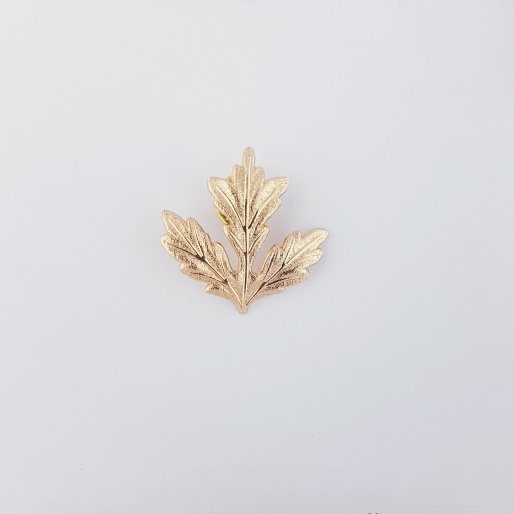 DWARF MAPLE - GOLDEN